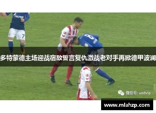 多特蒙德主场迎战宿敌誓言复仇激战老对手再掀德甲波澜